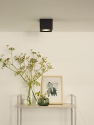 Fedler Svart spotlight Fra Lucide - Takspotten er enkel &aring; installere og kan kobles til en dimmer (ikke inkludert) om &oslash;nskelig.