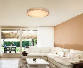 Rainer Ø80 Natur plafond Fra Globo Lighting - Lampan har &auml;ven en f&auml;rgv&auml;xlingsfunktion med m&ouml;jlighet att fixera en vald f&auml;rg, vilket g&ouml;r den b&aring;de flexibel och funktionell.