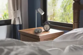 Robby 35cm Grå skrivebordslampe Fra Globo Lighting - Robby &auml;r en praktisk skrivbordslampa som blir ett stilfullt tillskott till ditt hem.