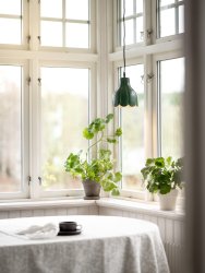 Tulippa Ø17 Grønn vinduslampe Fra PR Home - Inspirasjonen til lampen kommer fra en tulipan fra Carl Larssons malerier og tegninger.