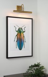 Vinz 36cm Matt gull/messing Fra Lucide - Du fester lampen til veggen og kobler den til en strømbryter.