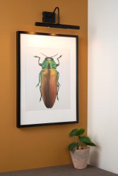 Vinz 36cm Svart Fra Lucide - Du fester lampen til veggen og kobler den til en strømbryter.