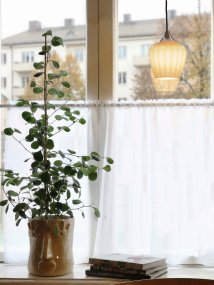 Amalfi Ø14 Aprikos vinduslampe Fra PR Home - Det riflede glasset i en varm aprikosfarget tone gir lampen et mykt og dekorativt uttrykk, mens den kromfargede detaljen skaper en elegant kontrast.