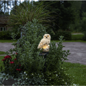 Owl Off-white solcellelampe Fra Star Trading - Soldekorasjonen Owl er en fantastisk og dekorativ belysning for hagen.