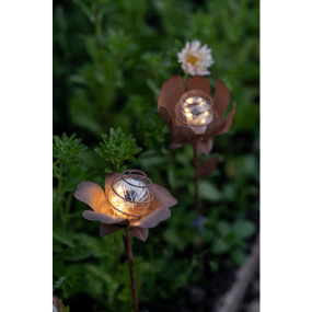 Oxida Flower 2-pk Rust solcellelampe Fra Star Trading - med to forskjellige blomsterformer i rustfarget metall som gir et naturlig og dekorativt uttrykk.