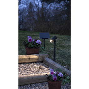 Powerspot Svart solcellelampe Fra Star Trading - Spotlighten med jordspyd og lang kabel til panelet gjør den enkel å plassere i direkte sollys, noe som er nødvendig for å lade batteriene.