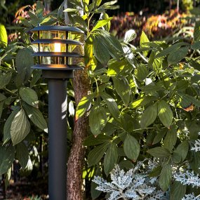 Jupiter Mørkegrå Fra Lightson - Jupiter er en stilig pullert i m&oslash;rkegr&aring; utf&oslash;relse som gir et behagelig og klart ledelys langs gangveier, garasjeoppkj&oslash;rsler og ved innganger.