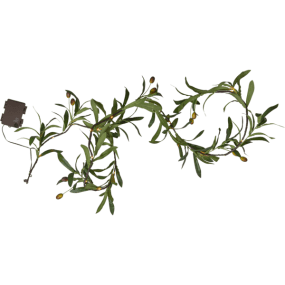 Lyslenke Olivec 1,8m Grønn Fra Star Trading - Gir en behagelig, varm hvit gl&oslash;d og er egnet som dekorasjon b&aring;de innend&oslash;rs og utend&oslash;rs.