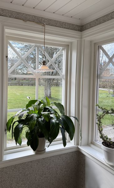 Silvia Ø22 Antikk messing/hvit vinduslampe Fra Aneta Lighting - Vinduslampen Silvia i romantisk vintage-stil er en fin interiørdetalj som fungerer like bra i klassiske, landlige og moderne hjem.