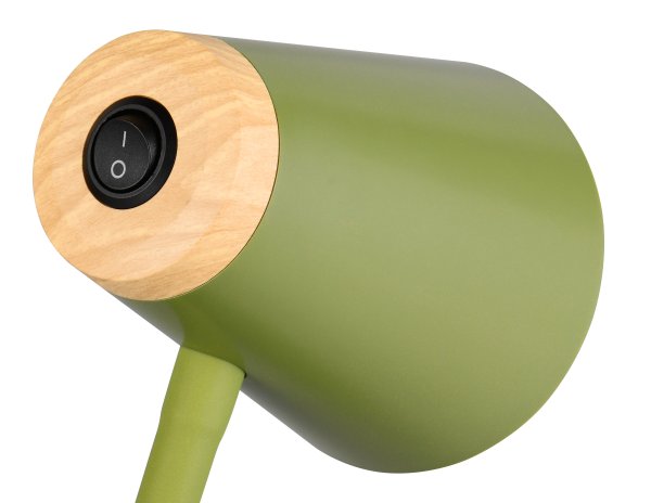 Pongo Grønn gulvlampe Fra Trio Lighting - 