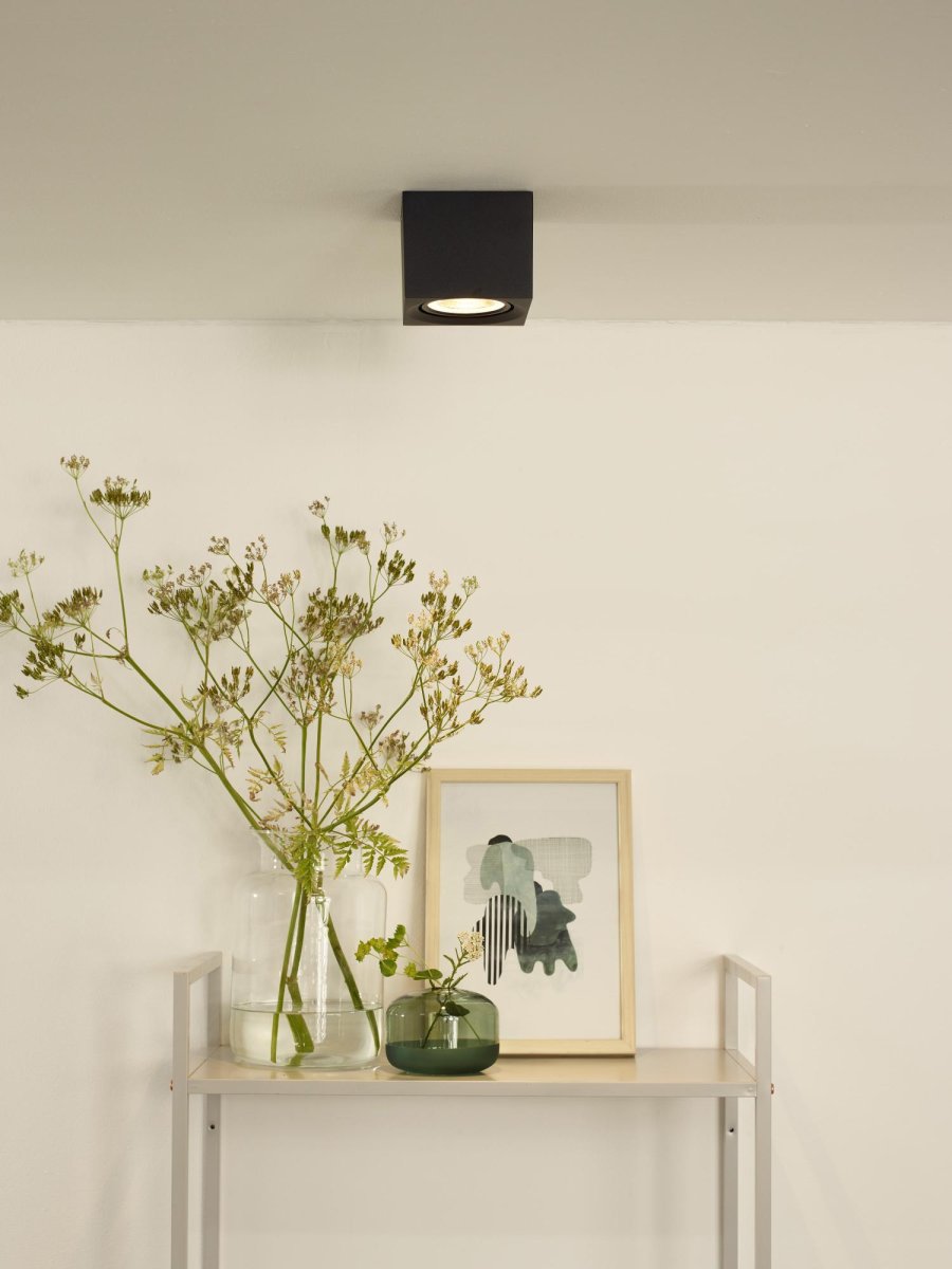 Fedler Svart spotlight Fra Lucide - Takspotten er enkel &aring; installere og kan kobles til en dimmer (ikke inkludert) om &oslash;nskelig.