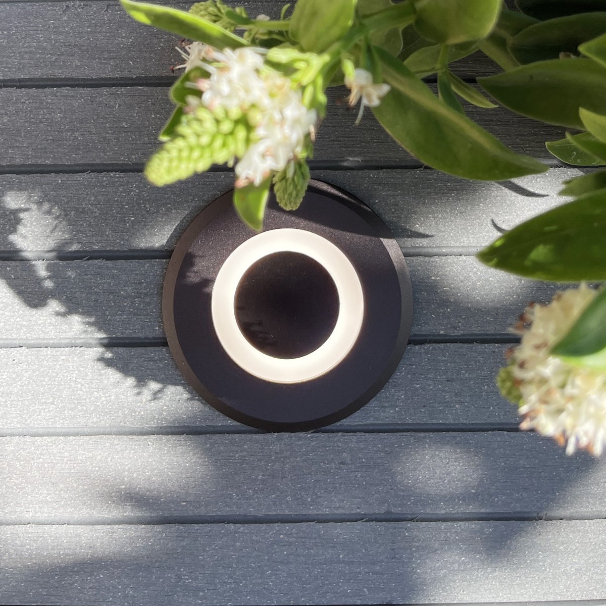 Lynx Mørk grå Fra Lightson - Lynx kan brukes som markør ved et trinn eller enden av en trapp; et nivå&aring; i treverdenen.