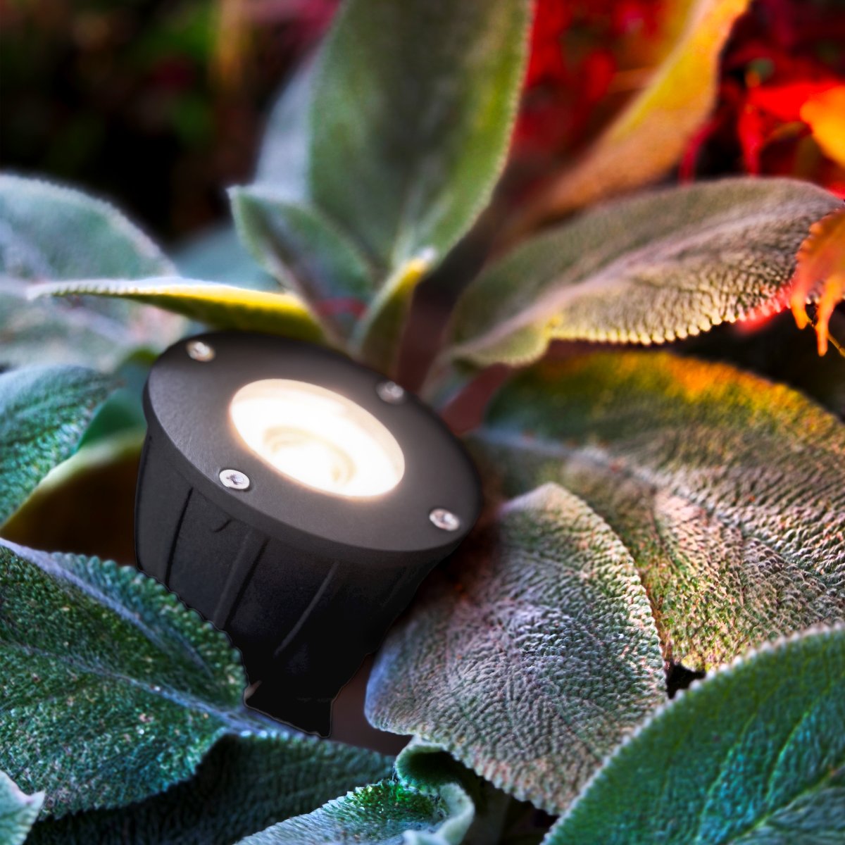 Luminius Mørkegrå Fra Lightson - Luminus er ogs&aring; spennende &aring; bruke for &aring; f&aring; sokkellys p&aring; fasader, stolper p&aring; pergolaer og portaler.