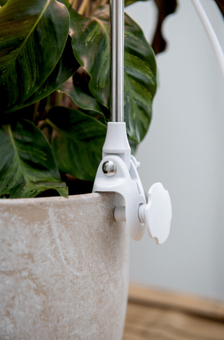 Vekstlampe Rose Hvit Fra Airam - Lyseffekten kan justeres i fem trinn med dimmeren og med timeren kan den skinne i 8/12/16 timer.