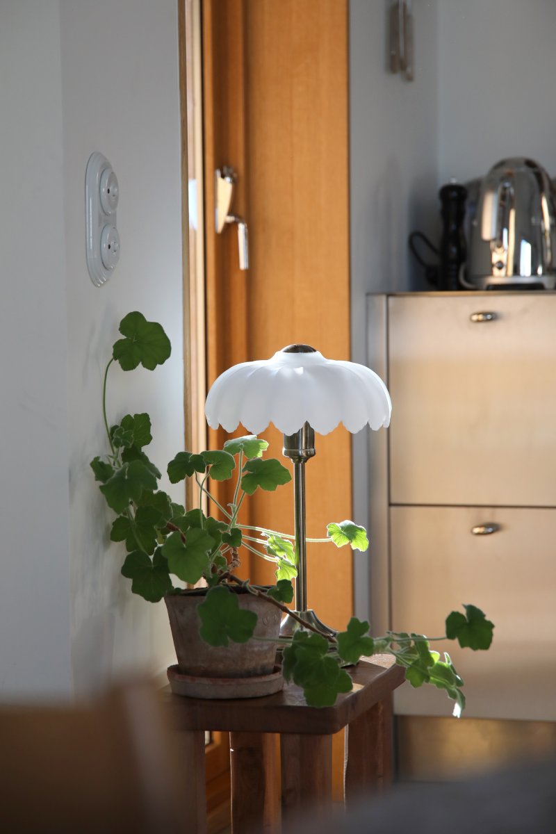 Kurage 43cm Antikk messing/hvit bordlampe Fra Markslöjd - Bordlampe i klassisk stil med antikk messingfinish og dekorativ hvit opalglassskjerm.