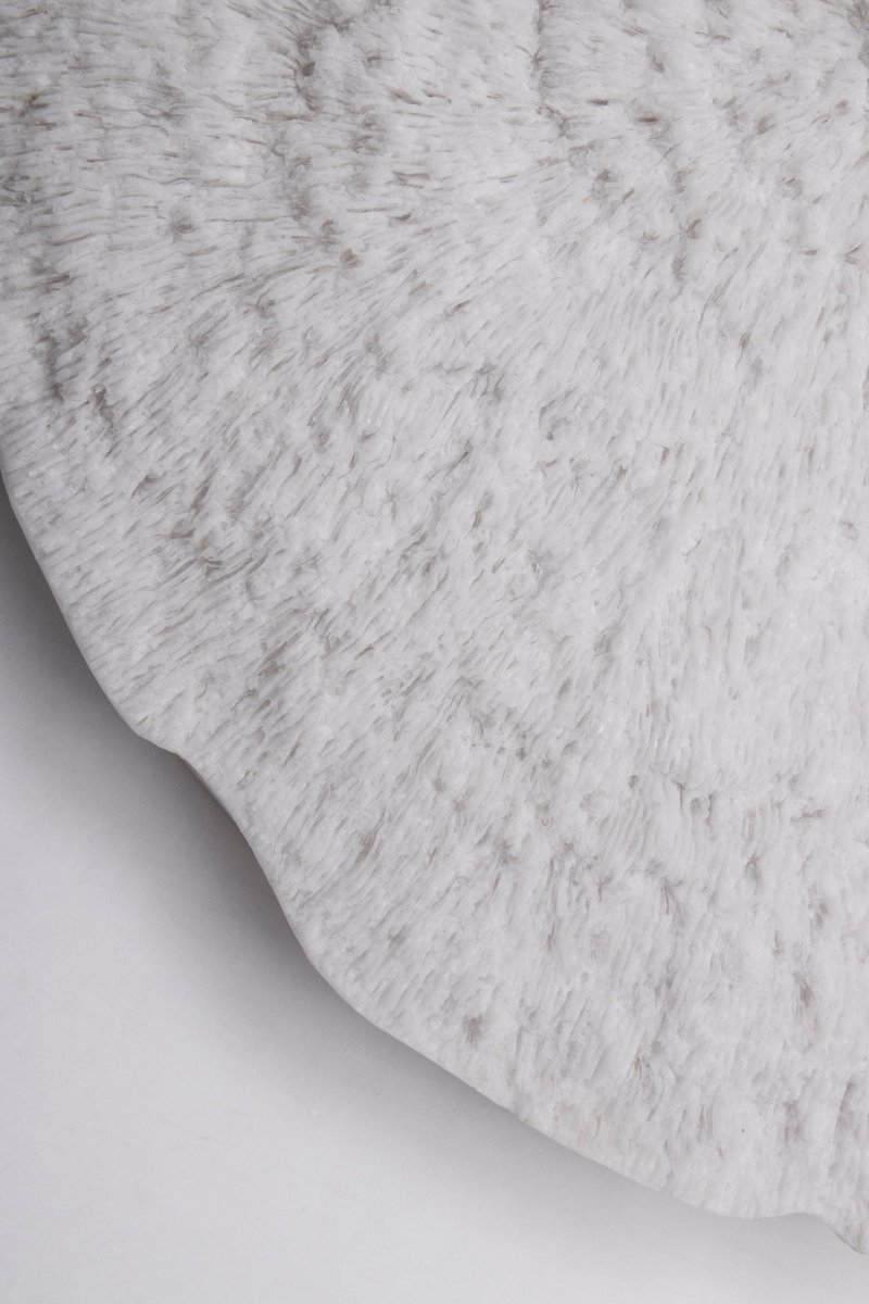 Nemo Hvit vegglampe Fra Globen Lighting - Vegglampe inspirert av naturen og vakre korallrev på bunnen av havet.