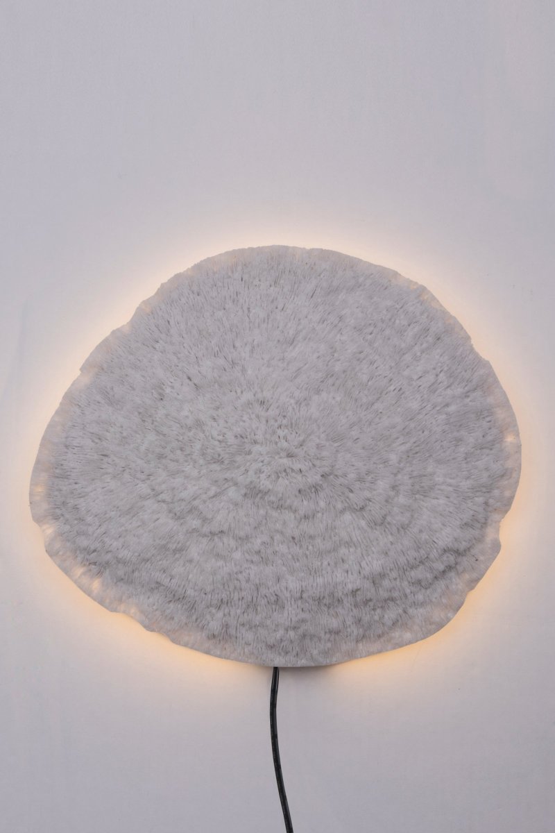 Nemo Hvit vegglampe Fra Globen Lighting - Vegglampe inspirert av naturen og vakre korallrev på bunnen av havet.