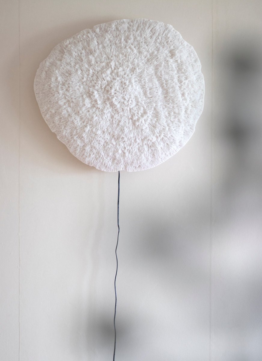 Nemo Hvit vegglampe Fra Globen Lighting - Vegglampe inspirert av naturen og vakre korallrev på bunnen av havet.