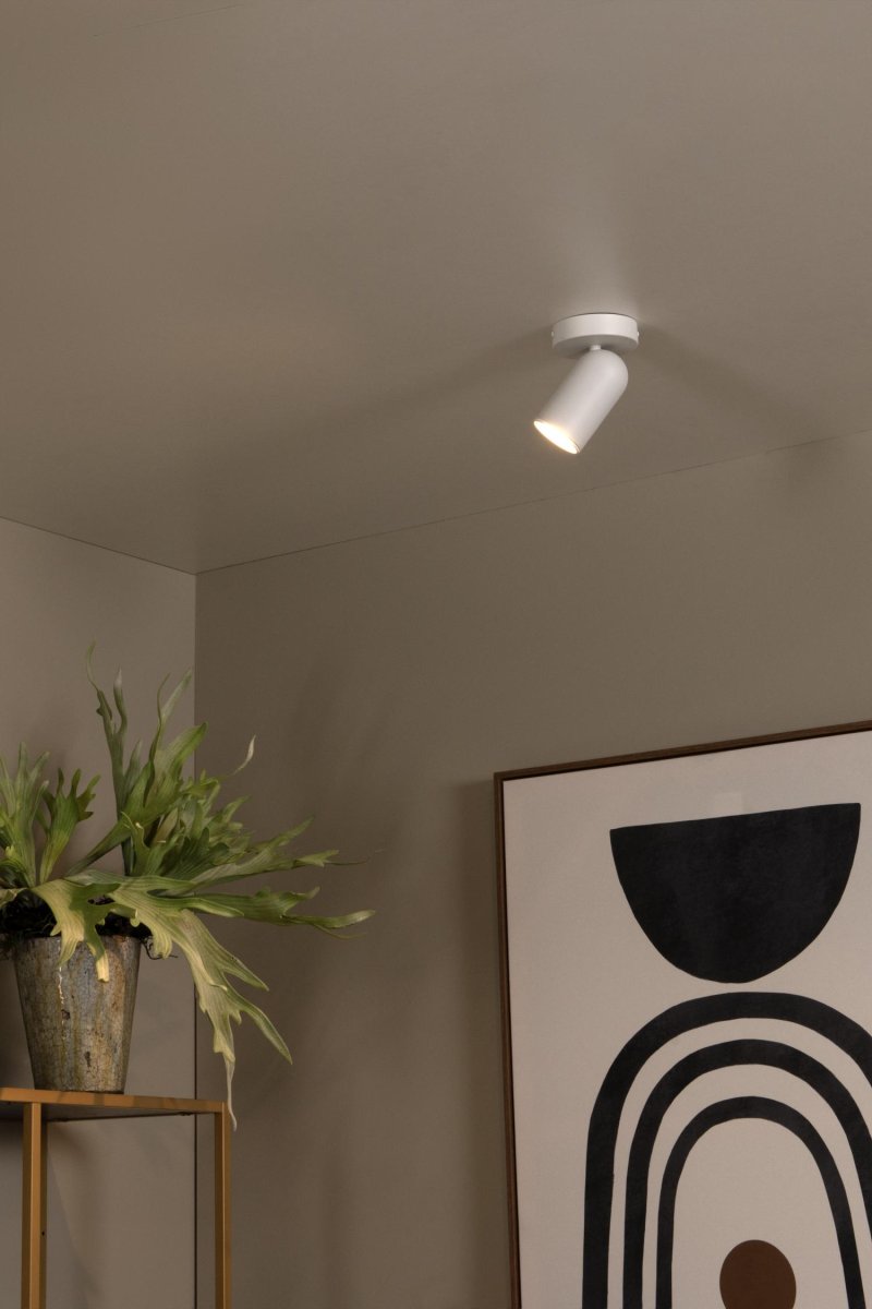 Punch Hvit spotlight Fra Lucide - Ved å koble den til en ekstern dimmer kan du skape den perfekte atmosfæren når som helst.