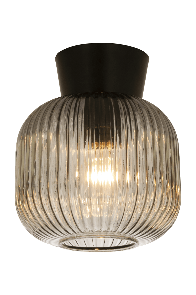 Vanja Ø20 Svart/Røkt plafond Fra Aneta Lighting - Vanja er en liten og elegant taklampe som passer perfekt i mindre rom som ganger, kjøkken eller soverom.
