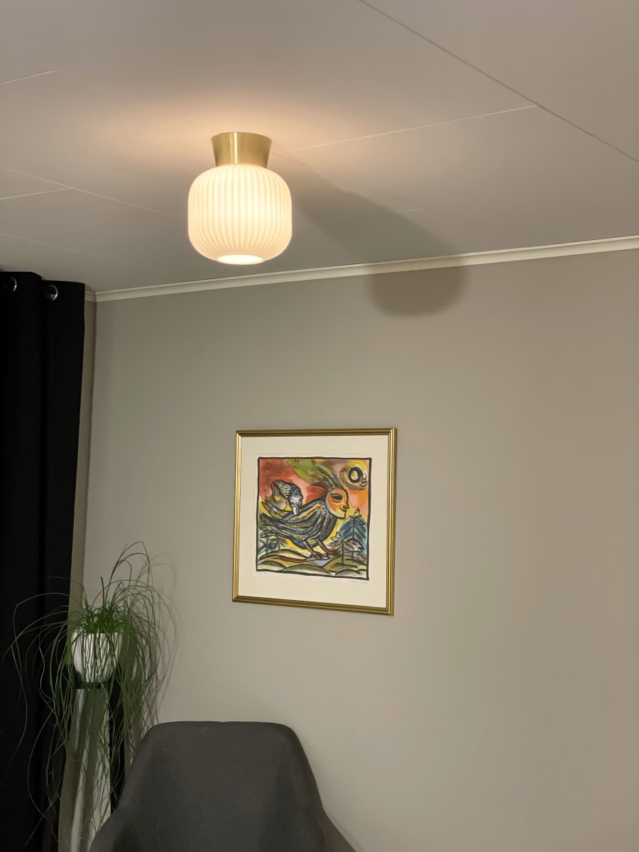 Vanja Ø20 Messing/Hvit plafond Fra Aneta Lighting - Vanja er en liten og elegant taklampe som passer perfekt i mindre rom som ganger, kjøkken eller soverom.