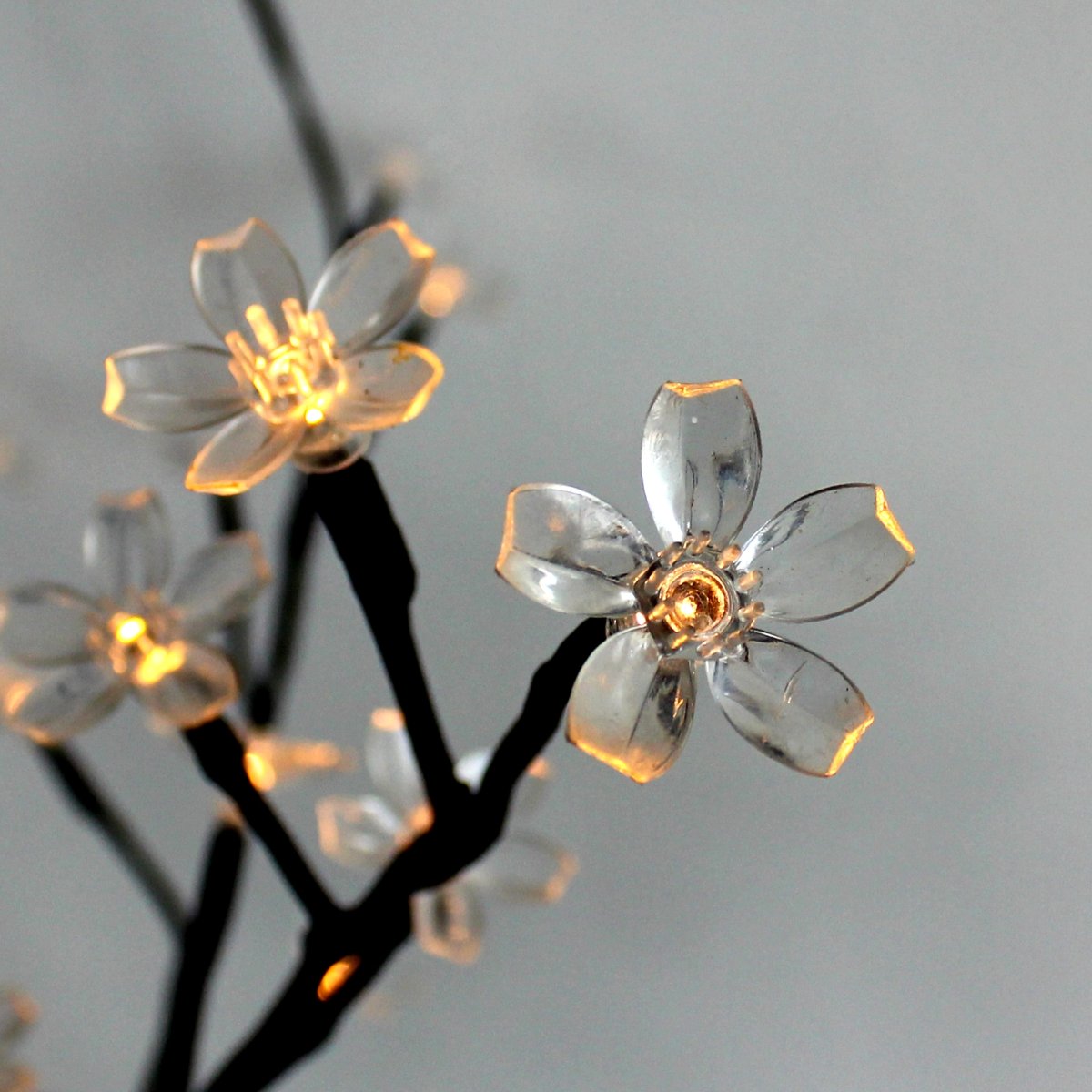 Bloom Svart Fra Lightson - Lag en atmosfærisk lysinstallasjon på terrassen eller hagen din med Bloom - en lysstreng med smøring; transparente blomster ved hver LED.