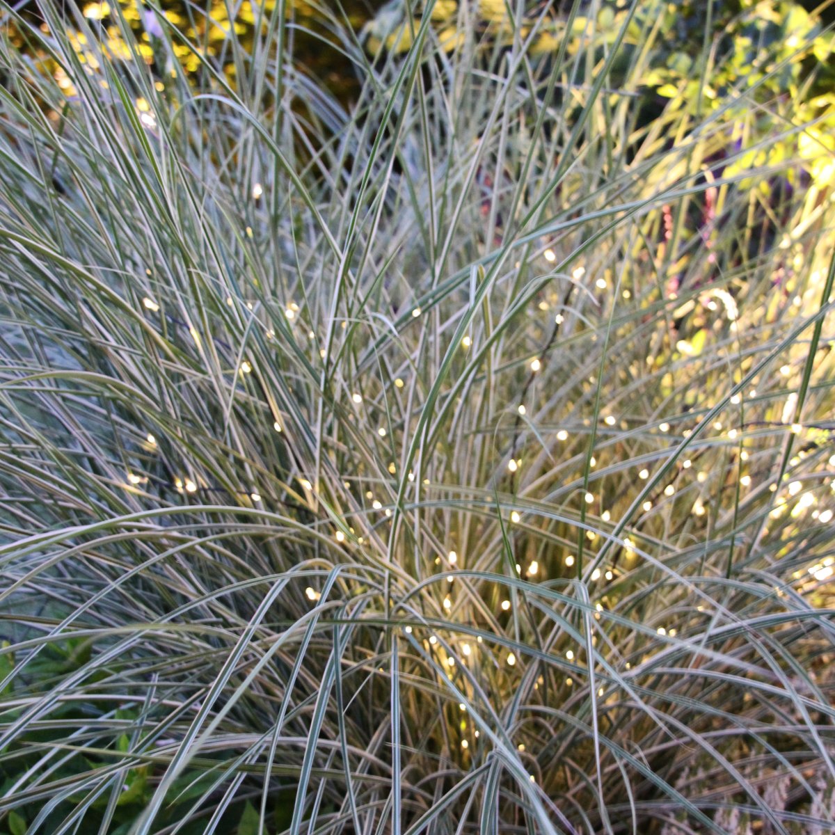 Twiggy Svart Fra Lightson - Dette gir st&oslash;rre fleksibilitet, for eksempel om du vil ha dem i et blomsterbed eller kanskje i en potte p&aring; hver side av inngangsd&oslash;ren.