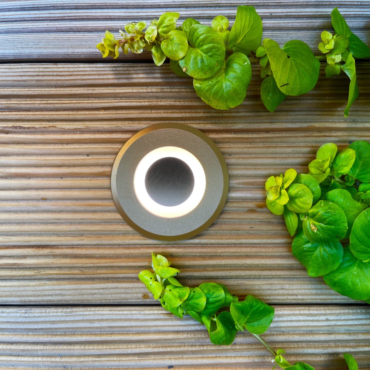 Lynx Bronse Fra Lightson - Lynx kan brukes som mark&oslash;r ved et trinn eller enden av en trapp; et niv&aring;&aring; i treverdenen.