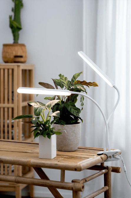 Vekstlampe Tulip Hvit Fra Airam - Takket v&aelig;re de fleksible armene kan lyset justeres og rettes i forskjellige retninger.