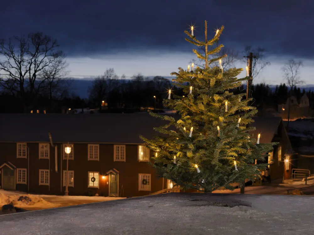Juletrebelysning Varmhvit 25LED 20m Grønn Fra Konstsmide - Juletrebelysning med 25 varmhvite DC LED-lys for et klassisk og stemningsfullt tre.