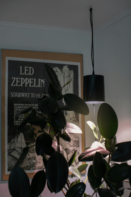 Vekstlampe Fiora Svart Fra Airam - Armaturet har en h&oslash;yglansreflektor og et LED-vekstlys som gir et behagelig lys for natten samtidig som det stimulerer plantene dine til &aring; vokse bedre og raskere.