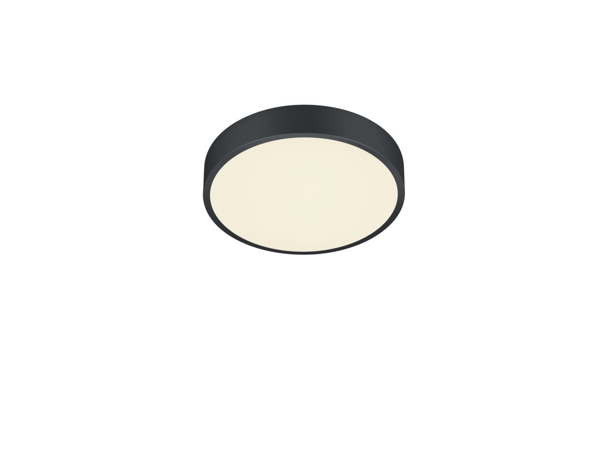 Waco Ø30 Svart plafond Fra Trio Lighting - 