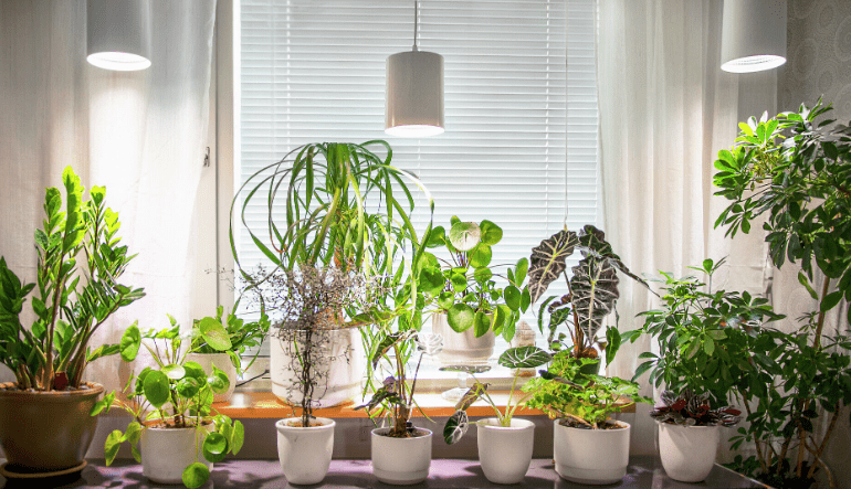 Vekstlampe Fiora Hvit Fra Airam - Armaturet har en h&oslash;yglansreflektor og et LED-vekstlys som gir et behagelig lys for natten samtidig som det stimulerer plantene dine til &aring; vokse bedre og raskere.