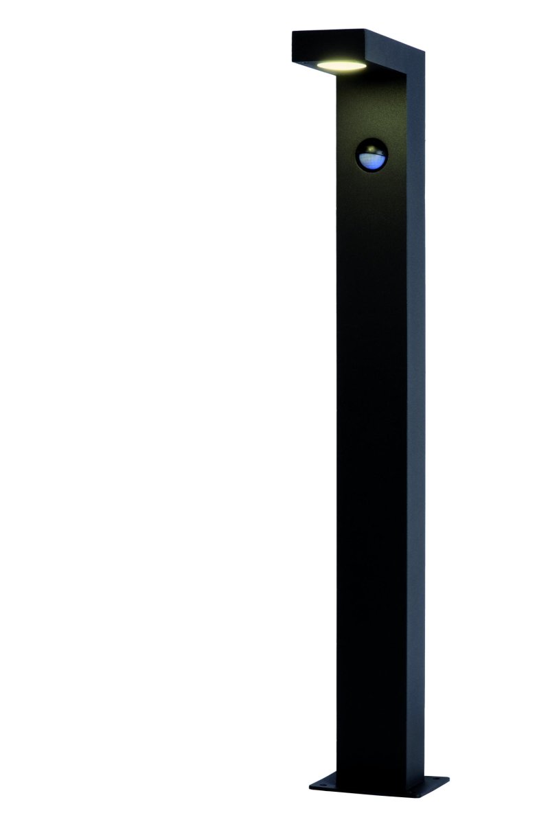 Texas-Ir 60cm Antrasitt pullerter Fra Lucide - Den knapt synlige, integrerte bevegelsessensoren leder deg til bassenghuset eller hageskuret.