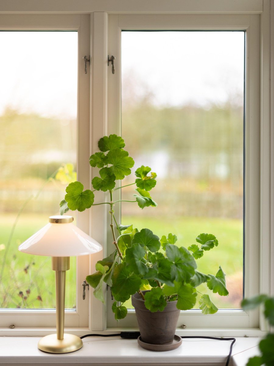 August 34cm Messing bordlampe Fra PR Home - Lampeskjermen er laget av glass og skrus fast; plasser ved hjelp av en metallhette i samme finish som foten.
