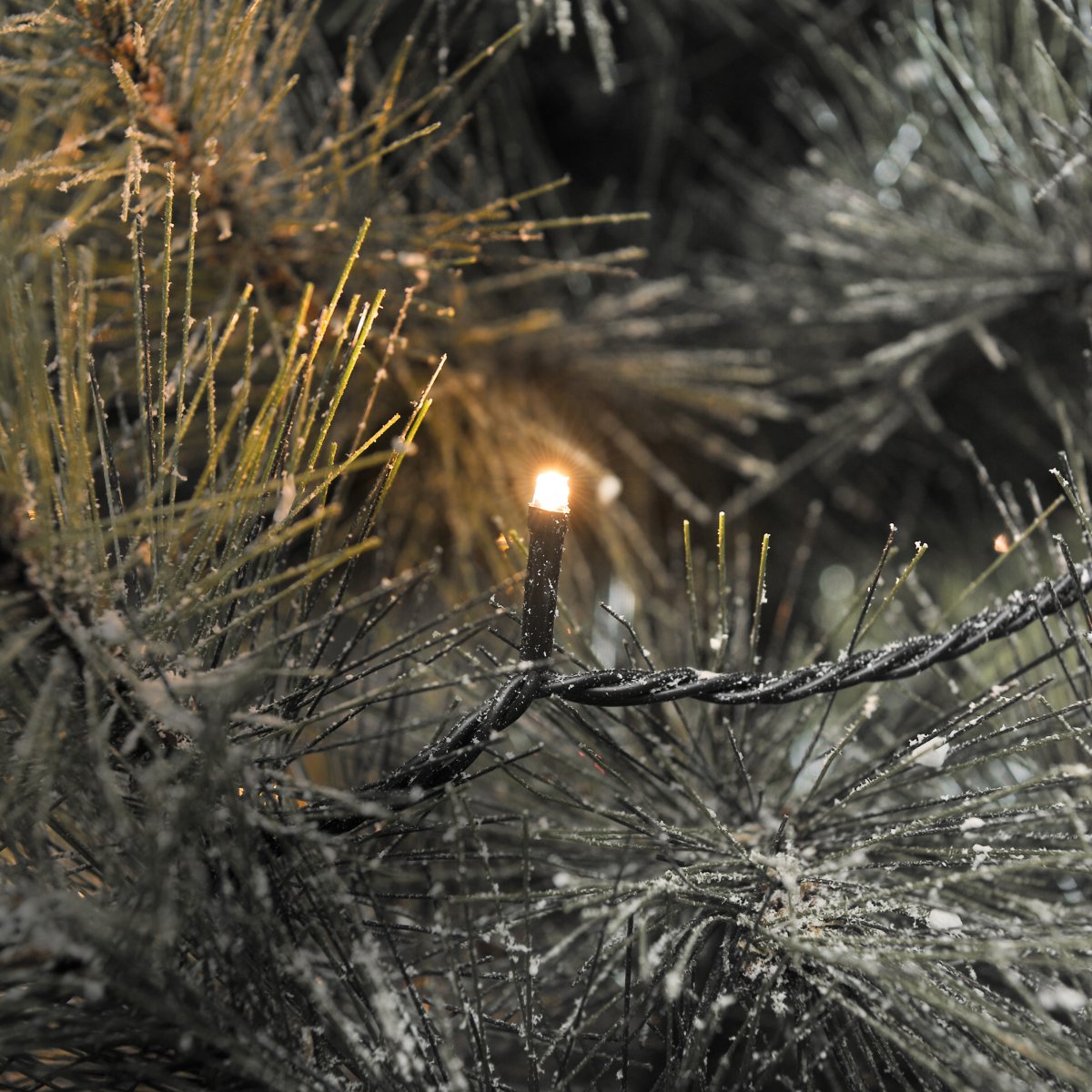 Lysslynge 100 LED amber 15m Grønn Fra Konstsmide - Denne lyslenken med 100 små LED-lys sprer en varm og koselig glød med en fargetemperatur på omtrent 2000 K.