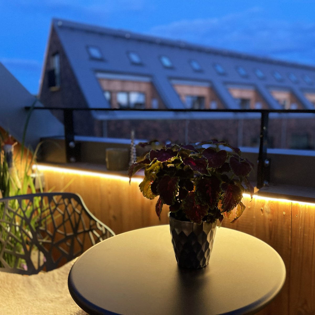 Strip (5m) Hvit Fra Lightson - Den bøyelige og fleksible lysstripen (5m med 3m startkabel) gir et homogent varmhvitt lys, Perfekt for steder hvor det noen ganger kan være vanskelig å belyse jevnt og hvor du ønsker å forsterke linjer i tregulv eller fasader.