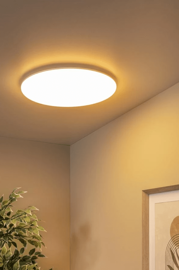 Olson Ø45 Hvit baderomslampe Fra Lucide - Olson er en moderne og energieffektiv taklampe for badet eller vaskerommet.