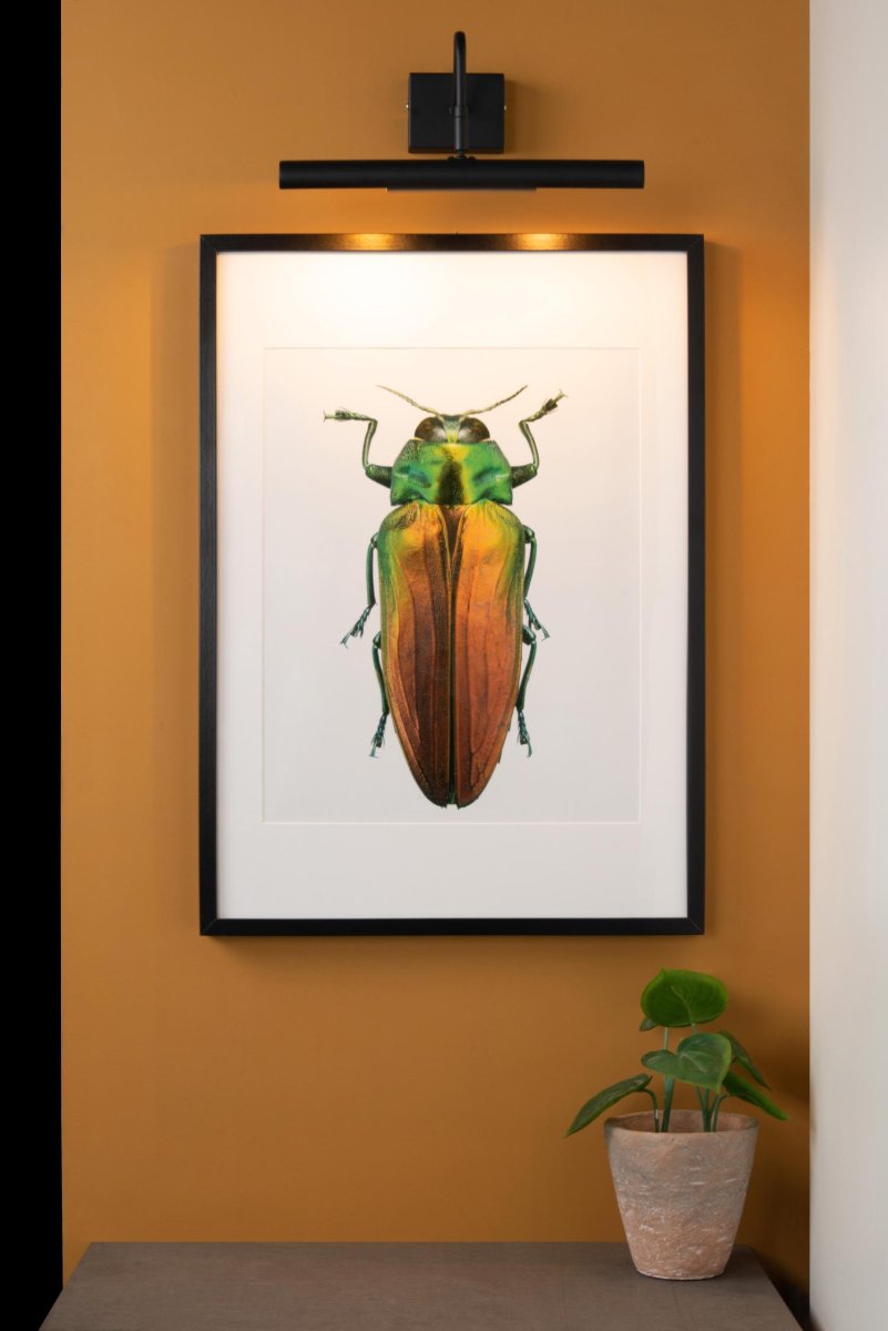 Vinz 36cm Svart Fra Lucide - Du fester lampen til veggen og kobler den til en strømbryter.