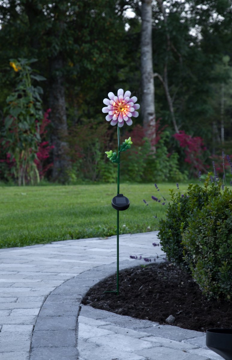 Daisy Rosa solcellelampe Fra Star Trading - Den utskårne metallblomsten gir en vakker dekorasjon og er enkel å plassere i en plante i hagen eller på et bord.