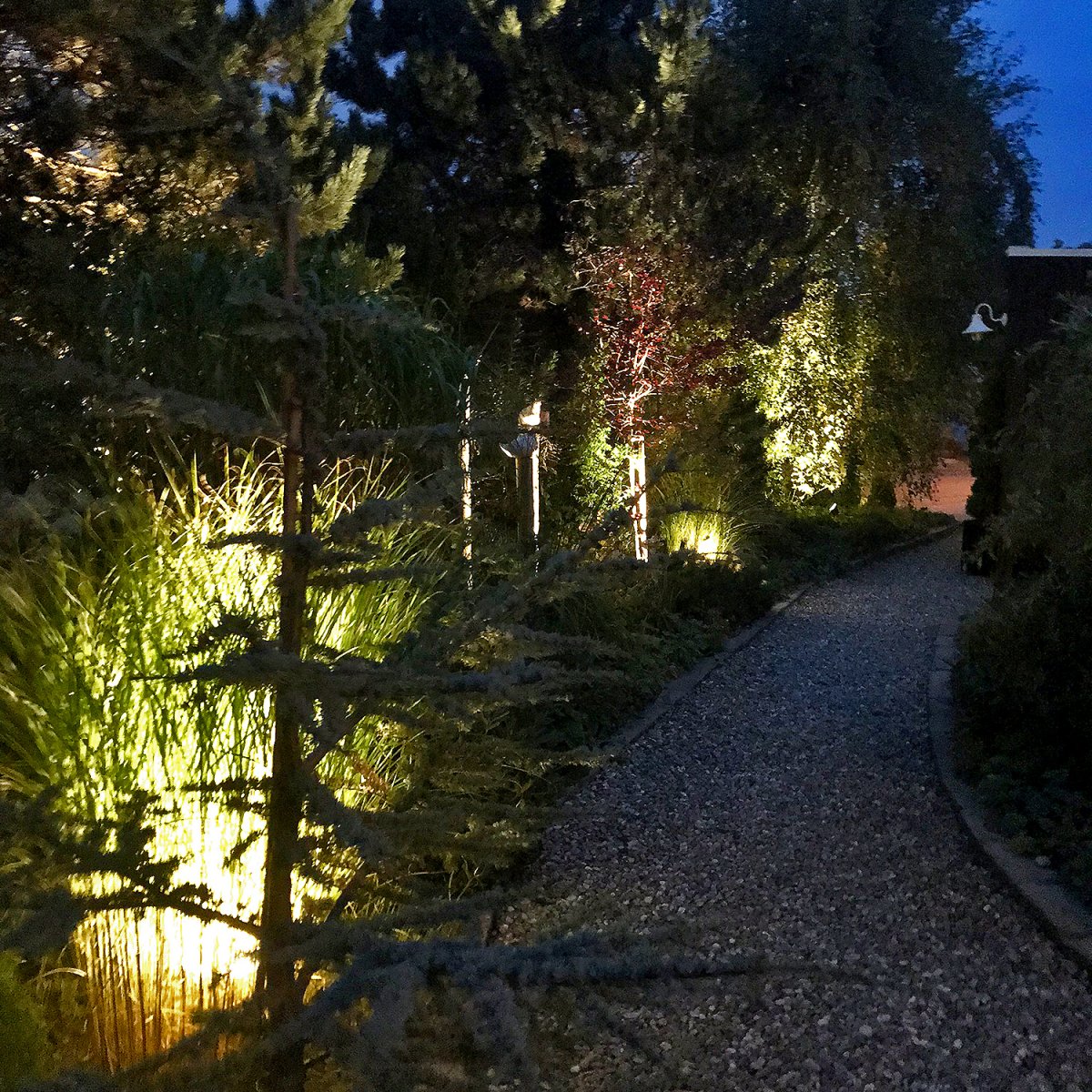 Luna Svart Fra Lightson - For å belyse veldig brede og lavere trær som du ser fra flere vinkler, kan du med fordel bruke to lamper.