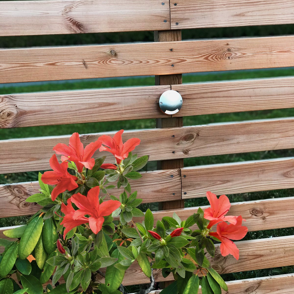 Zenit 5 Sølv Fra Lightson - Zenit har kun lys i &eacute;n retning og hvis du vil ha lys i begge retninger; det er Zenit Duo.