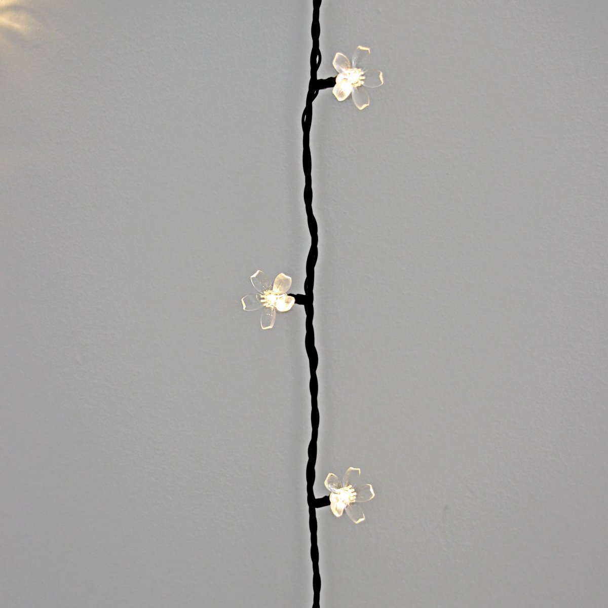 Bloom Svart Fra Lightson - Lag en atmosfærisk lysinstallasjon på terrassen eller hagen din med Bloom - en lysstreng med smøring; transparente blomster ved hver LED.
