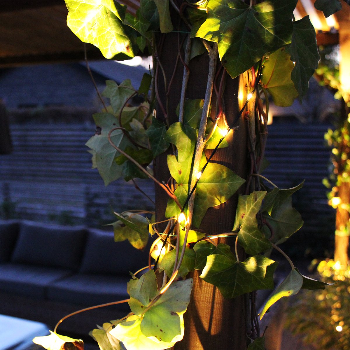 String Svart Fra Lightson - &nbsp;Tenk p&aring; &aring; velge en transformator som passer til det totale antallet watt p&aring; lysene dine.