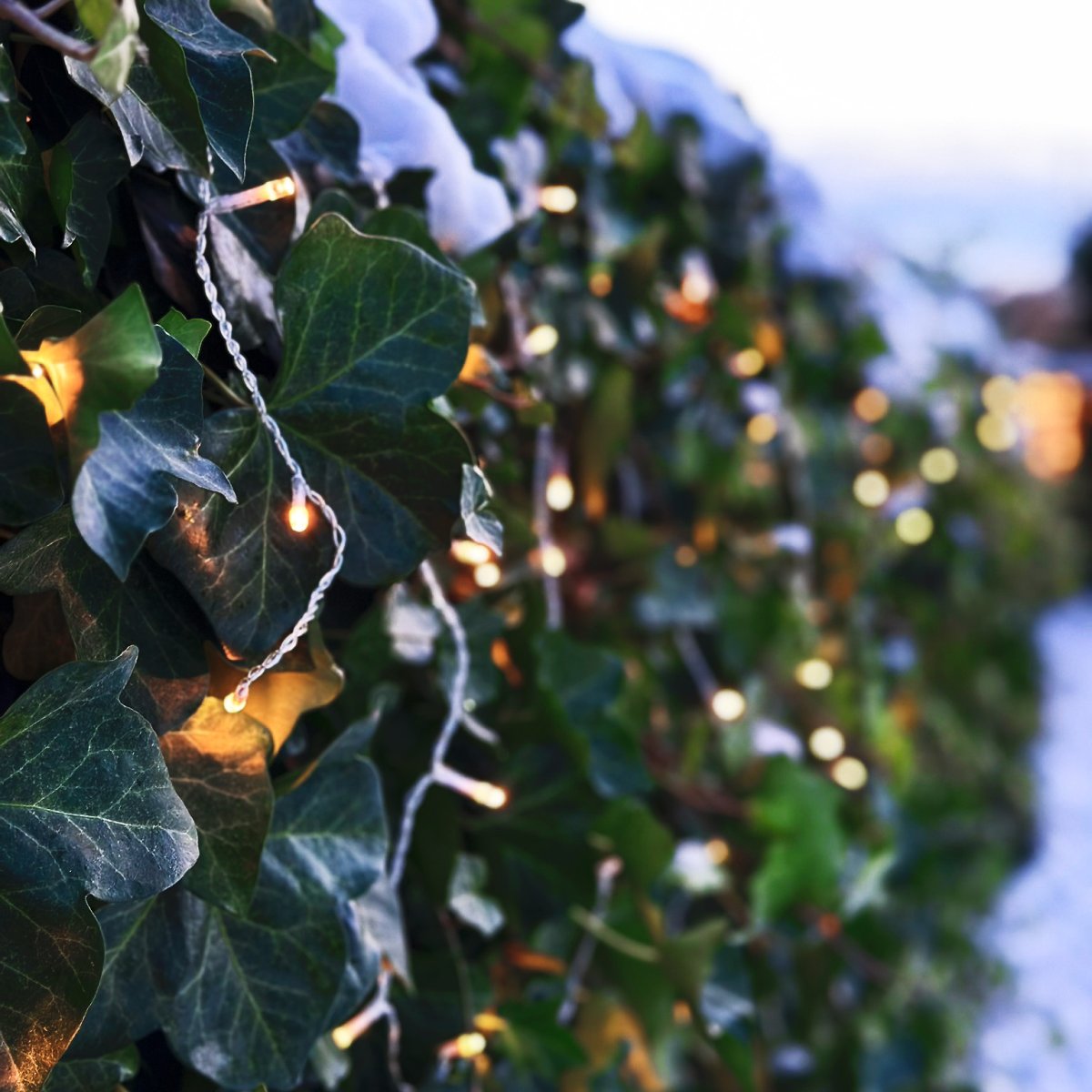 Ice Gjennomsiktig Fra Lightson - Ice er en dekorativ istapl&oslash;kke med istapper i lengder fra 30cm til 70cm.