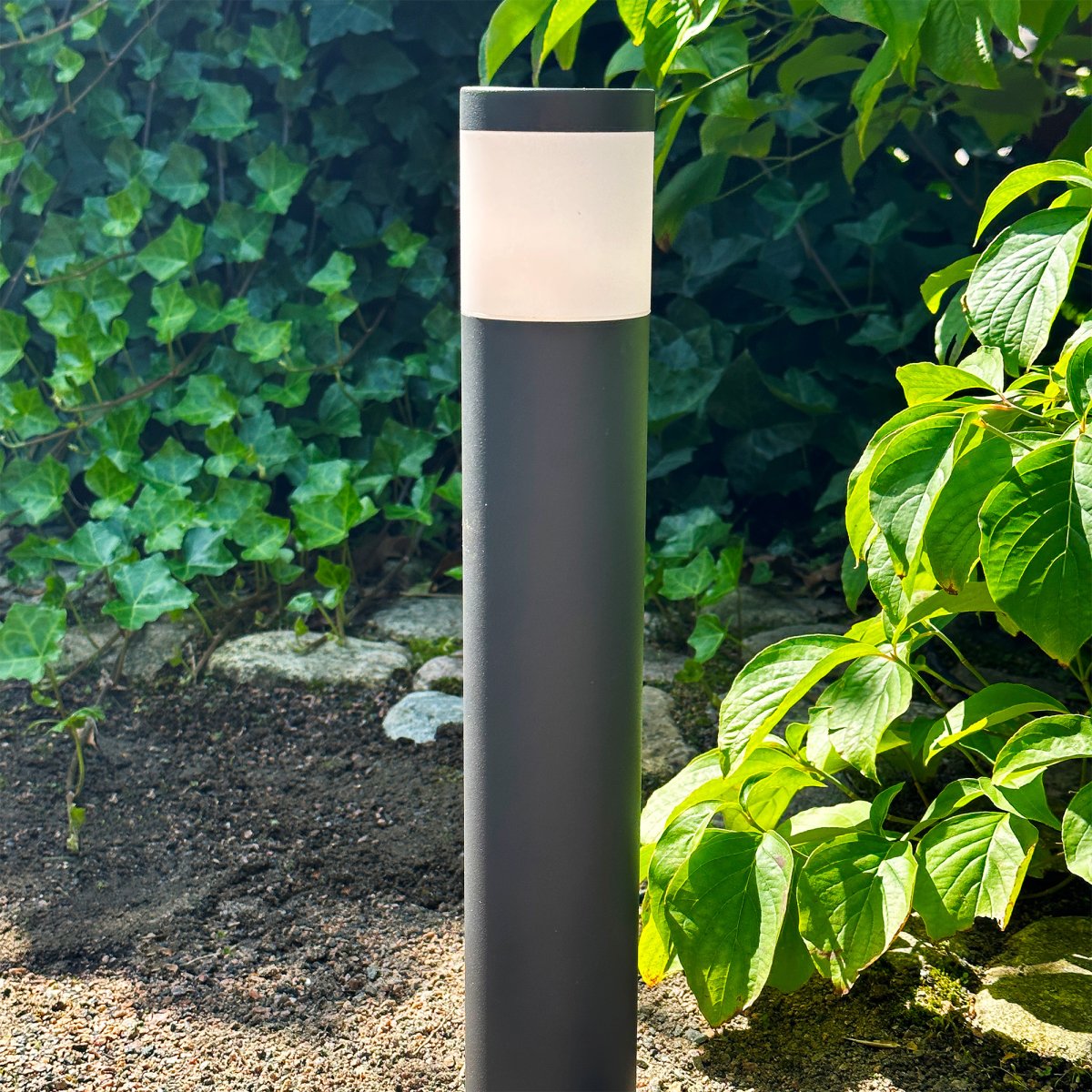 Polly Mørk grå Fra Lightson - Pullerten Polly er en stilig aluminiumspullert som kan brukes langs korridorer og innkjørsler, samt som markeringslys ved for eksempel ganger og porter.