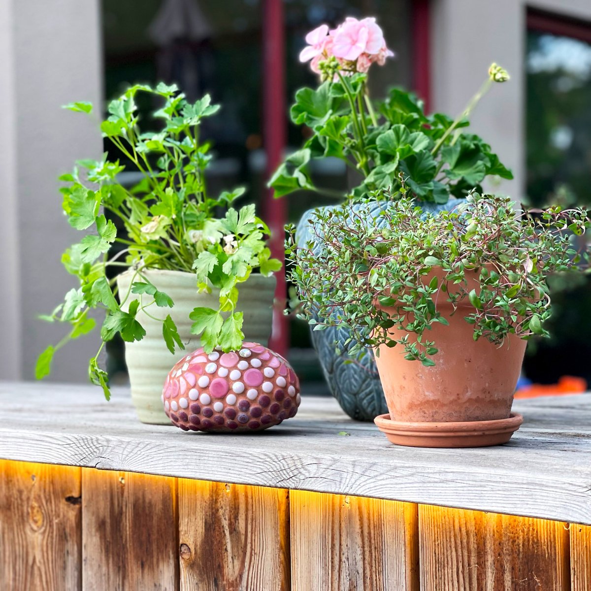 Strip (2.5m) Gjennomsiktig Fra Lightson - Du kan også&aring; fest den på innsiden av en potte eller et blomsterbed der det kan være vanskelig å få til en fin og jevn lett flyt.