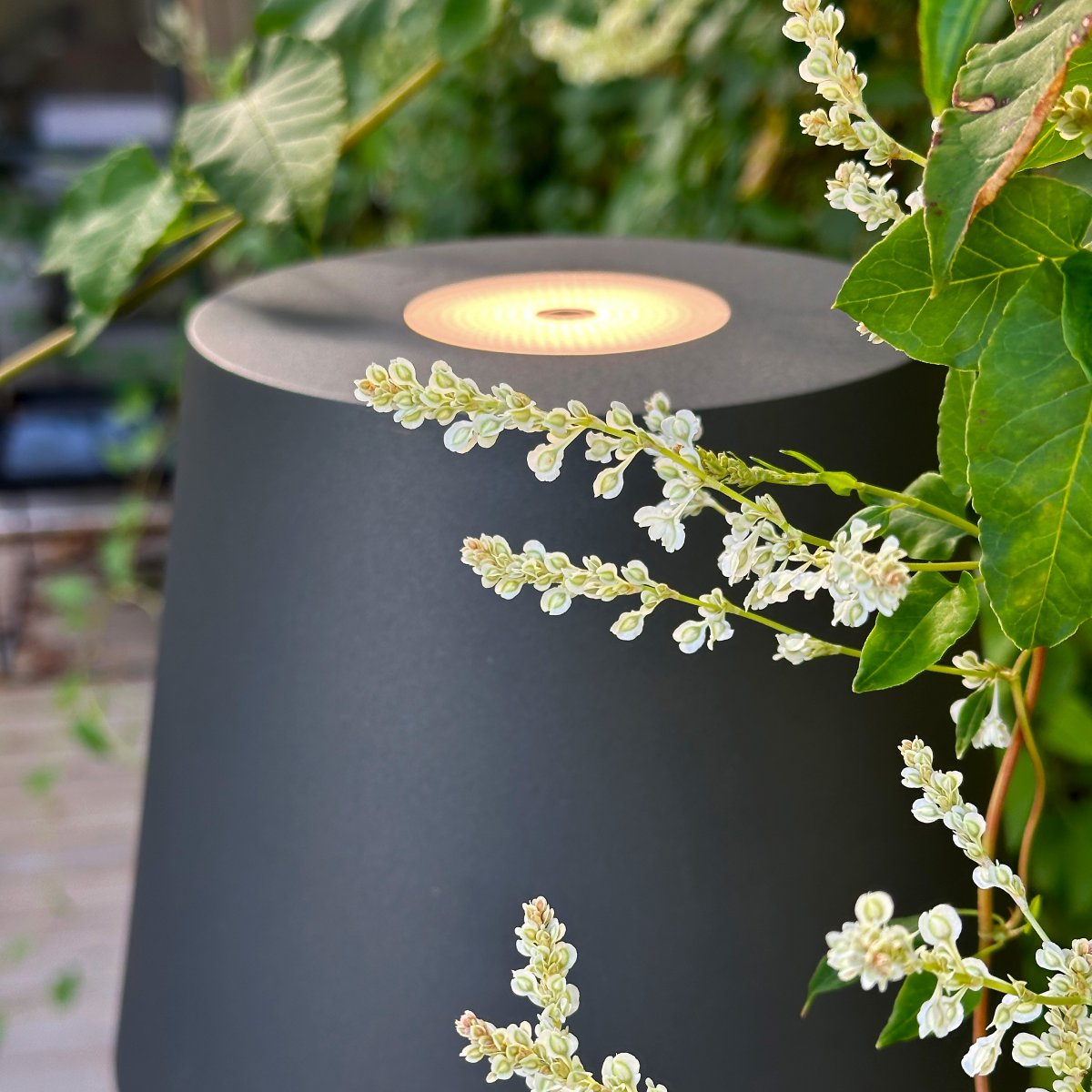 Sofy Mørkegrå Fra Lightson - Sofy er en stilig gulvlampe i m&oslash;rkegr&aring;tt aluminium, spesialdesignet for &aring; skape en koselig og hyggelig atmosf&aelig;re i dine utemilj&oslash;er.