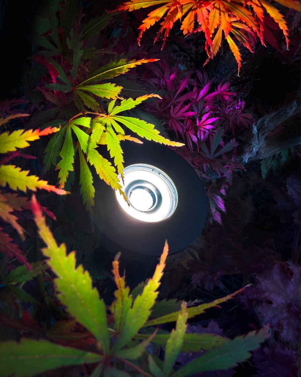 Luminius Mørkegrå Fra Lightson - Luminus er ogs&aring; spennende &aring; bruke for &aring; f&aring; sokkellys p&aring; fasader, stolper p&aring; pergolaer og portaler.