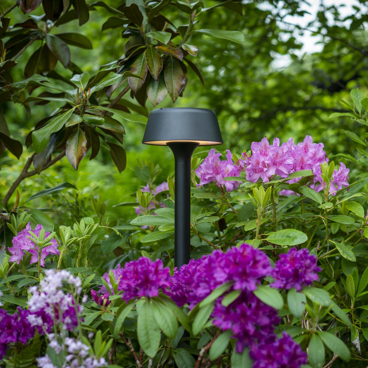 Valencia 80cm Svart pullerter Fra Dyberg Larsen - Designet er stilig og moderne, og lyset faller i en behagelig sirkel rundt lampen og gir et stemningsfullt inntrykk.